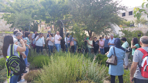 קיץ במרכז המבקרים של ד"ר דבור 