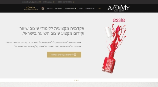 האקדמיה של לוריאל האקדמיה של לוריאל