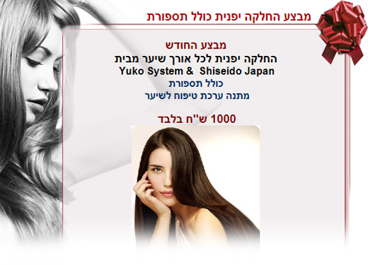 מבצעי קיץ - רוני חתוכה