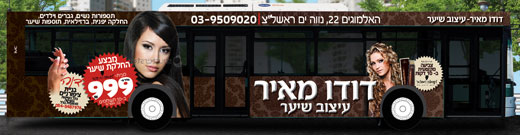 החלקת שיער במבצע - על גלגלים