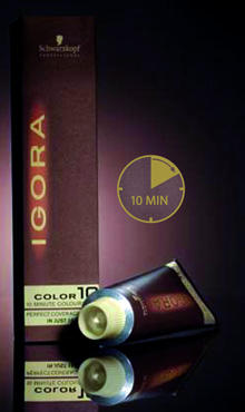 שוורצקופף פרופשיונל משיקה את צבעי IGORA Color10