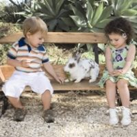 הוניגמן קידס