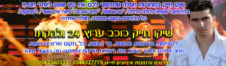 מימונה 2008